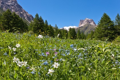 Vallée Etroite, (Valle Stretta en italien)