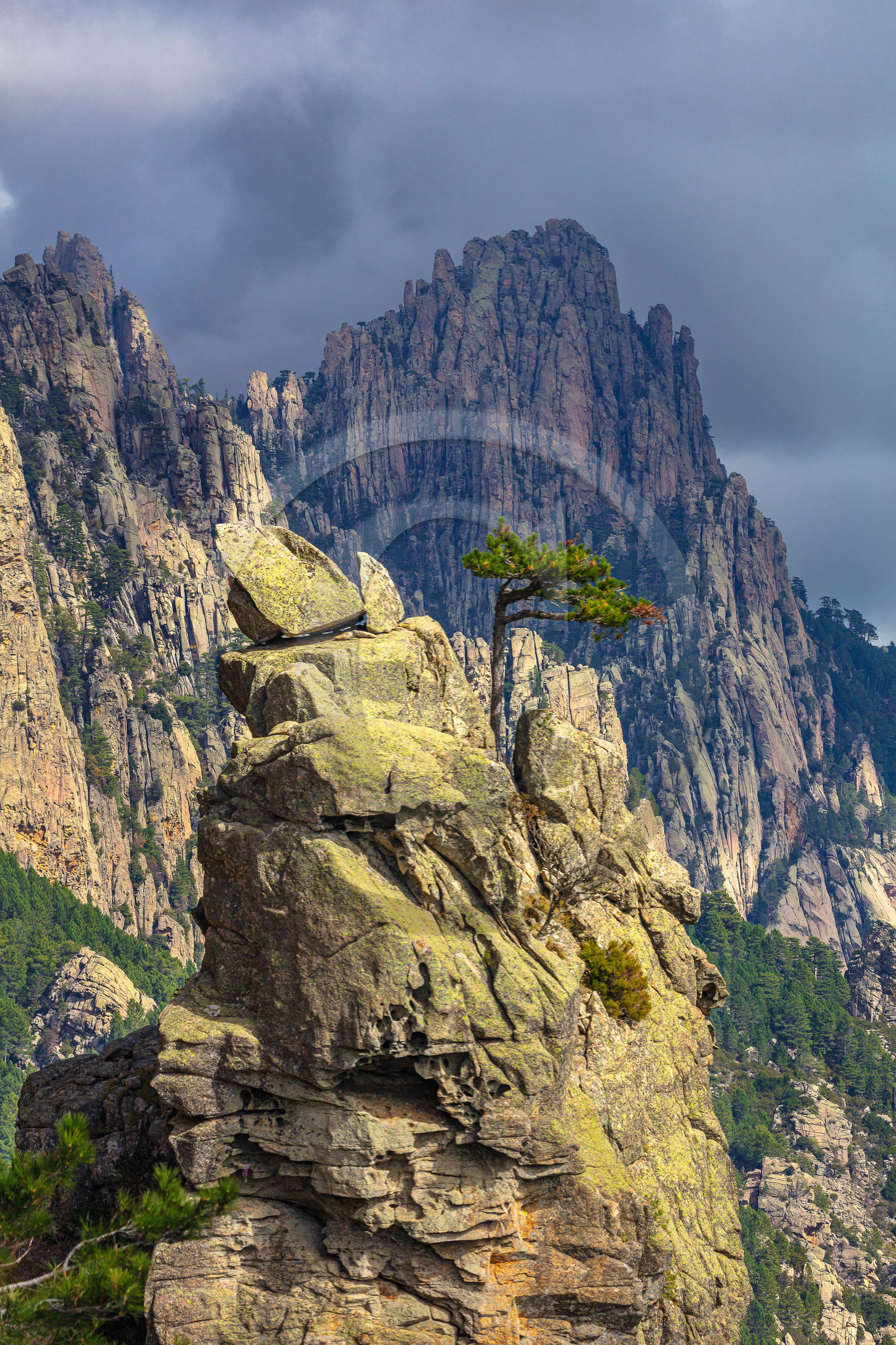 Les Aiguilles de Bavella (forchi di Bavedda )