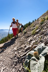 Vallée du Champsaur,  La Fare-en-Champsaur, randonnée de Moutet