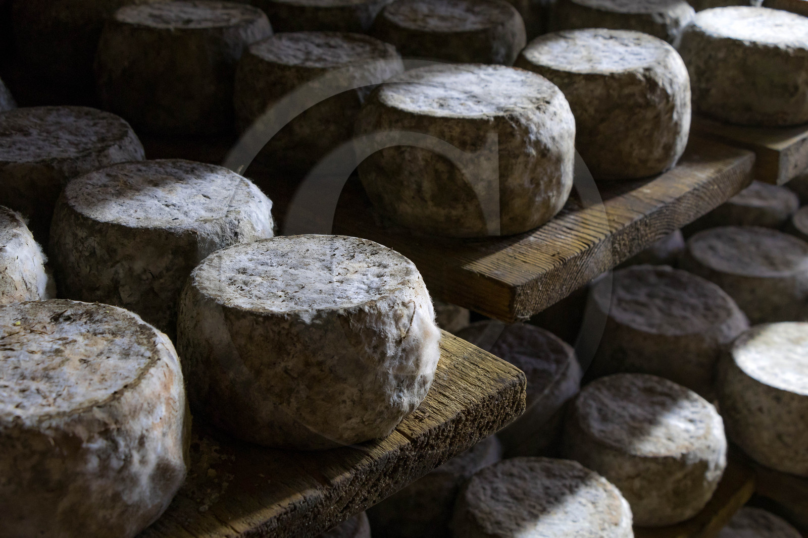 Gaec La chèvrerie des Combettes