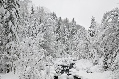 Réserve naturelle de Sixt-Passy, Le Giffre, Sixt-Fer-à-Cheval