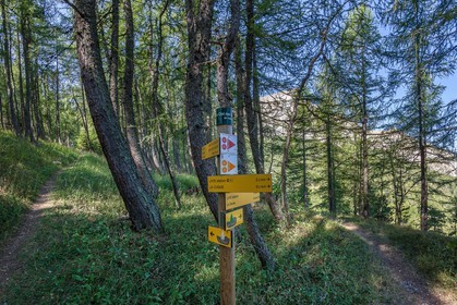 Vallée du Champsaur, Laye , sur le sentier de La Cuque
