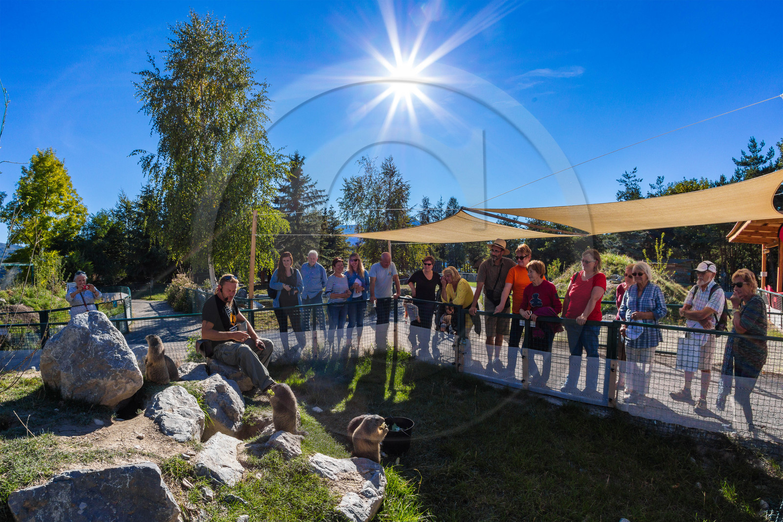 Parc animalier de Serre-Ponçon, parc aux marmottes