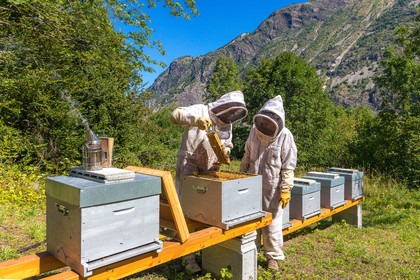 Margaux and Didier Pissard, beekeepers