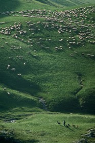 Alpage de Jujal, Le Bailou, berger