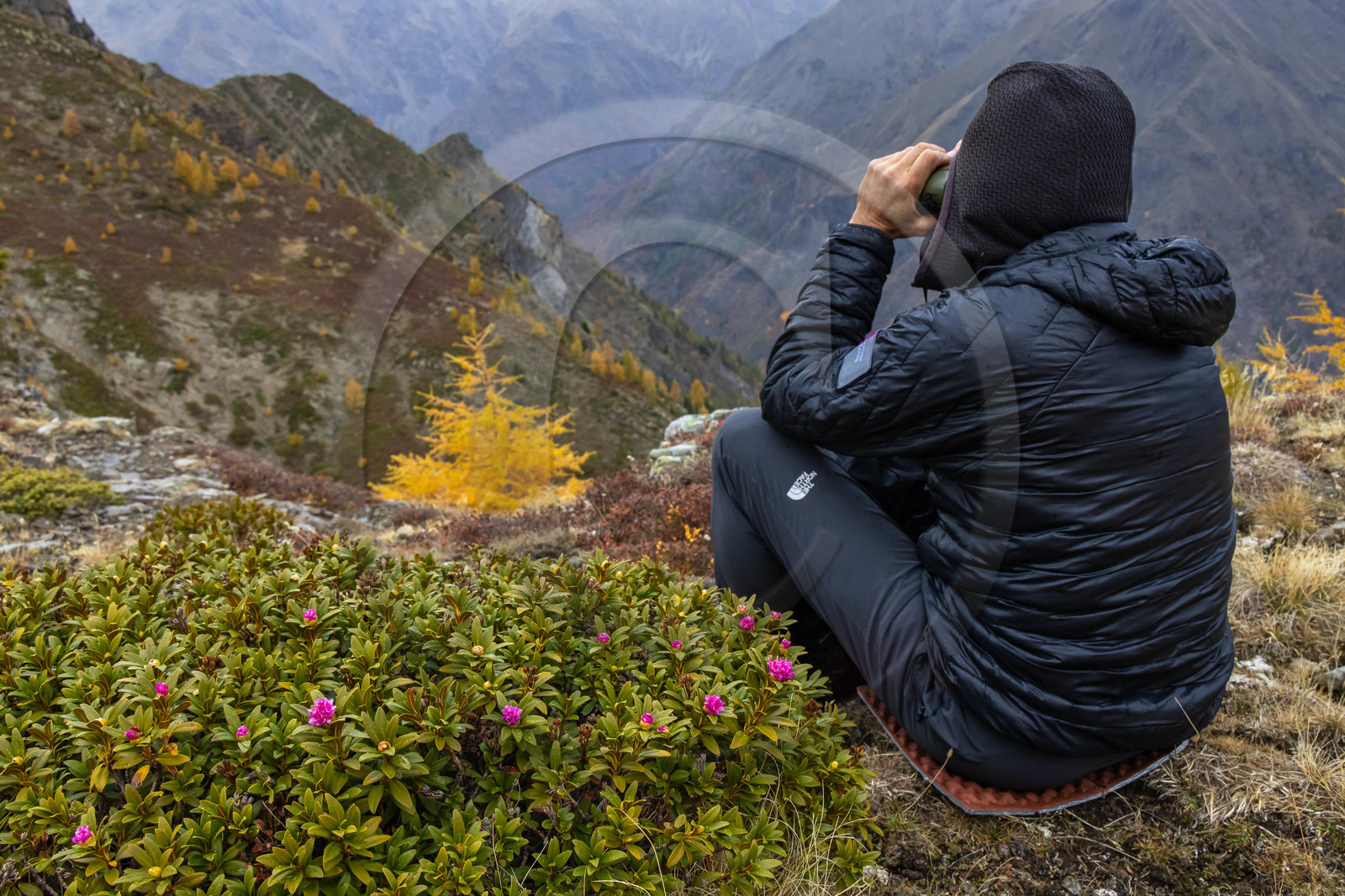 Marc Corail, garde-moniteur du Parc national des Ecrins