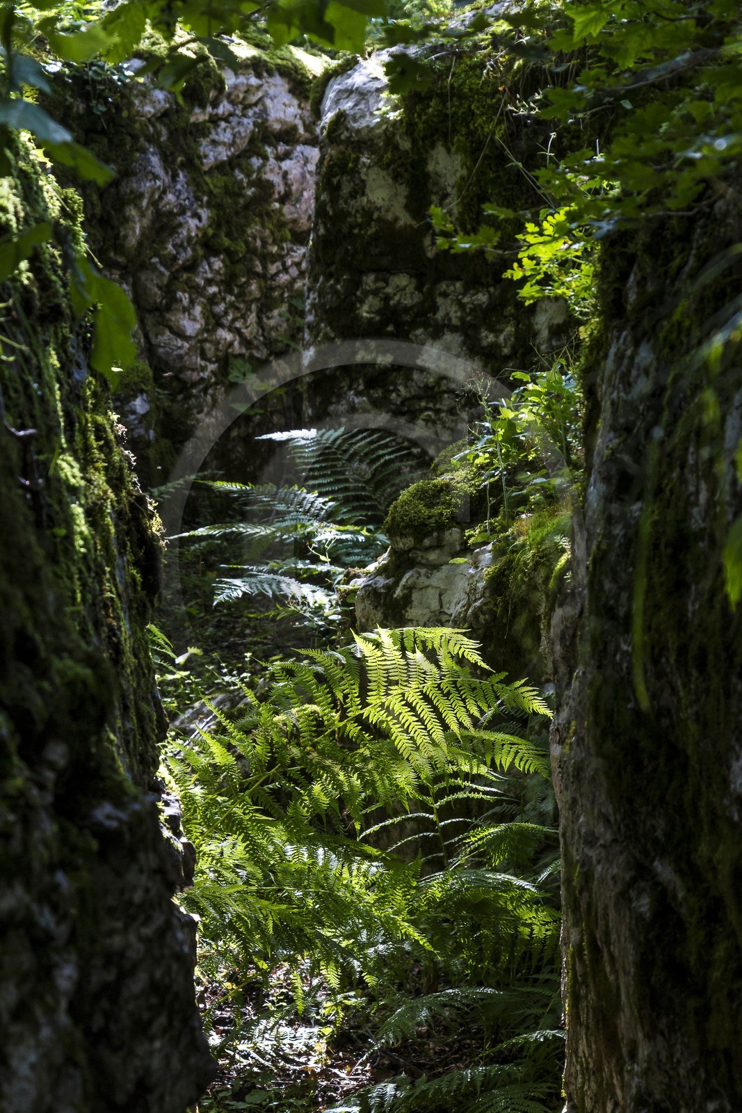 ENS de l'Isère, Plateau de la Molière et du Sornin