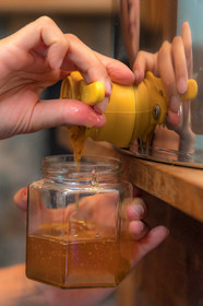 Margaux and Didier Pissard, beekeepers
