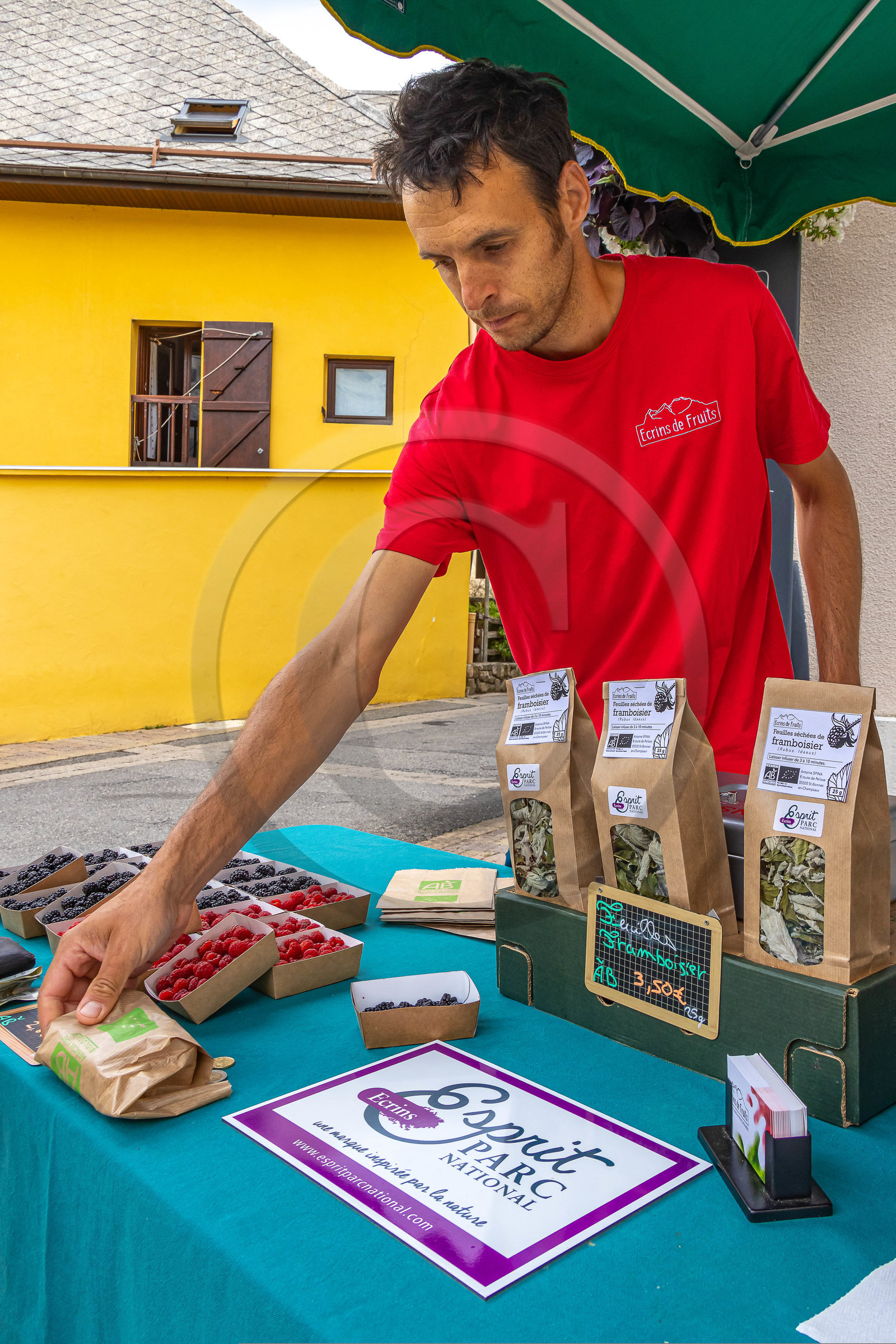 Ecrins de fruits, producteur de fruits rouges