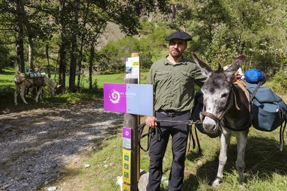 Yohann Masnada, accompagnateur ânier