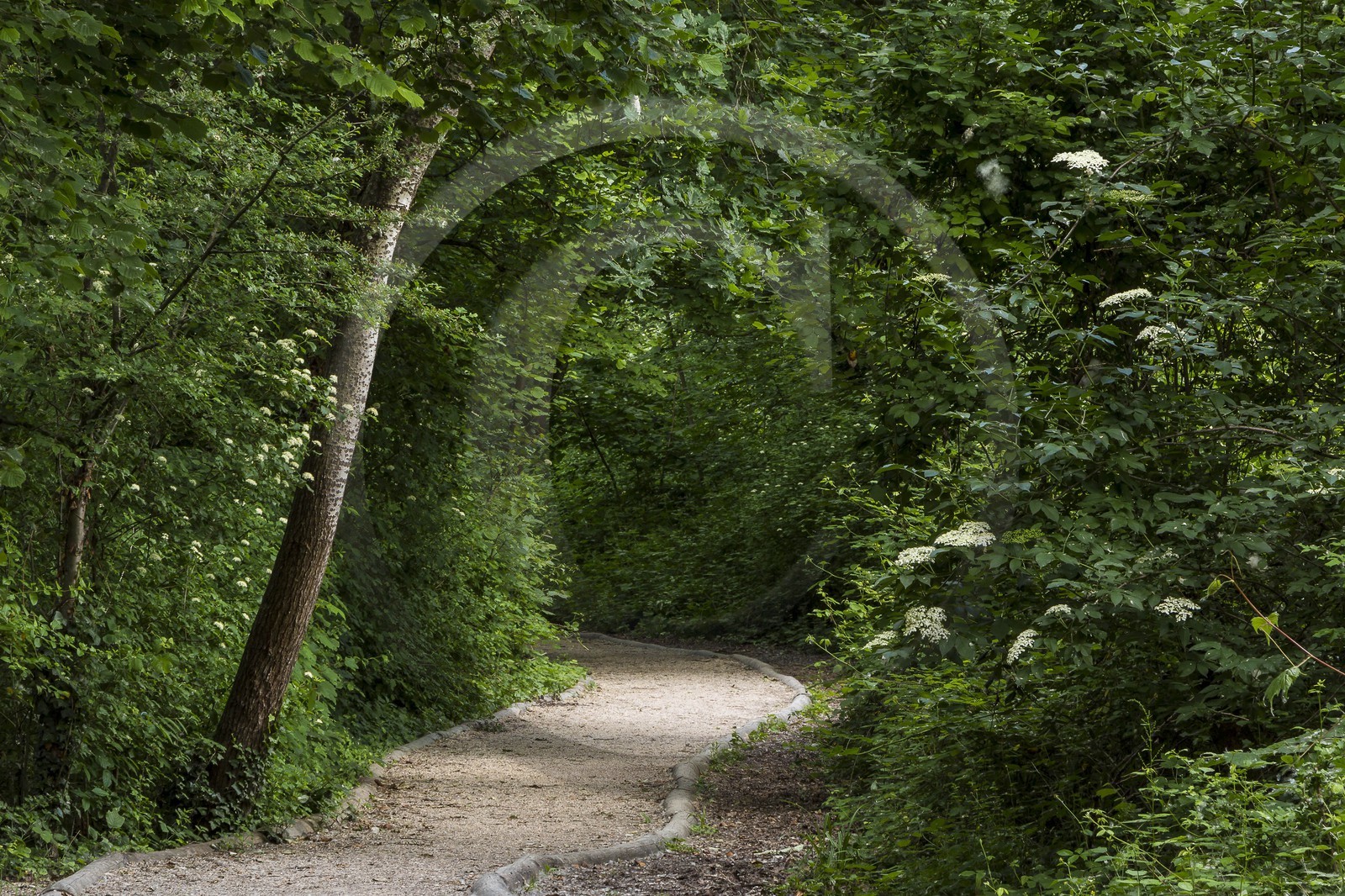 ENS de l'Isère, bois de la Bâtie