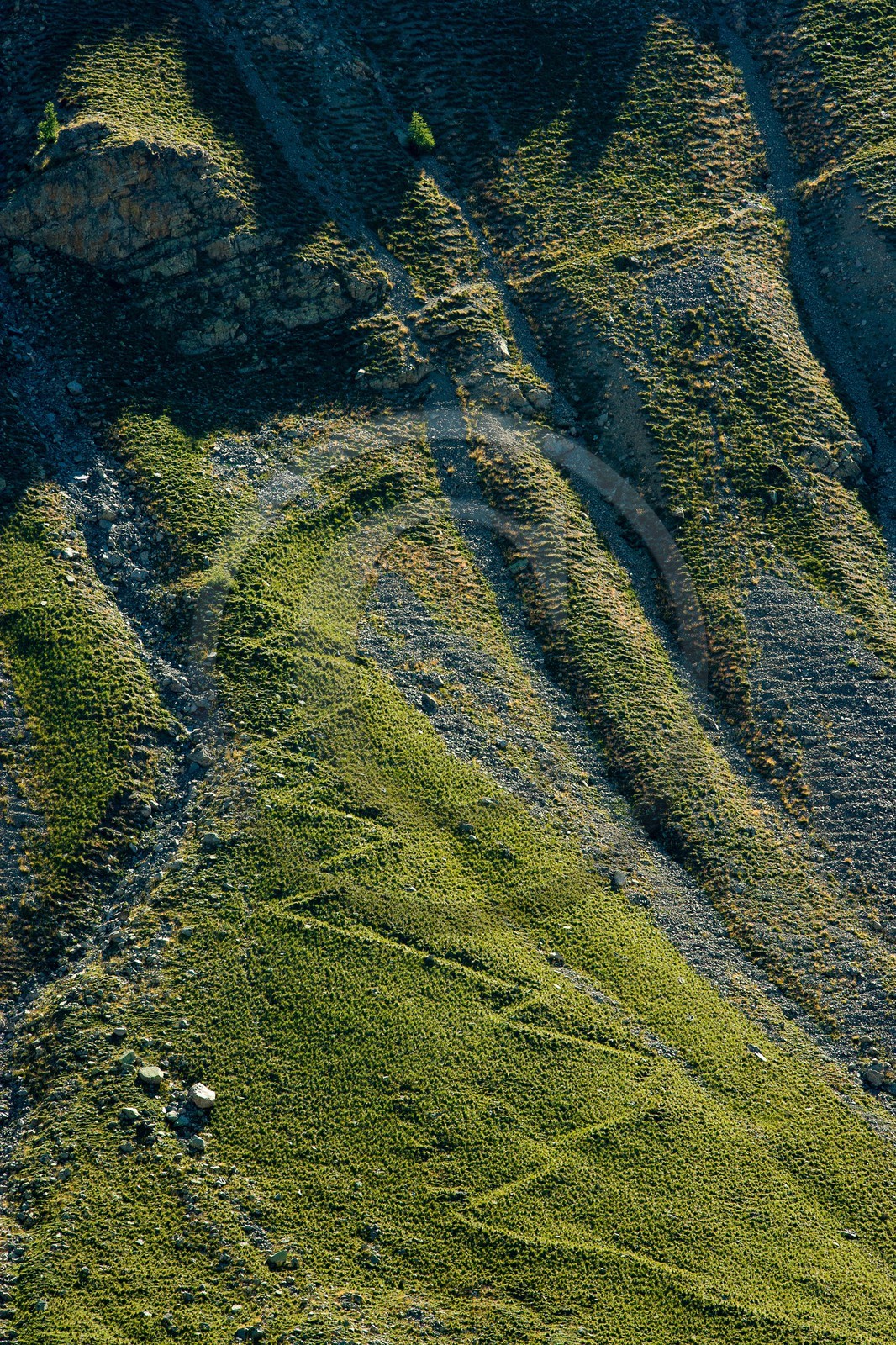 Saint-Dalmas-le-Selvage, sentier d'alpage