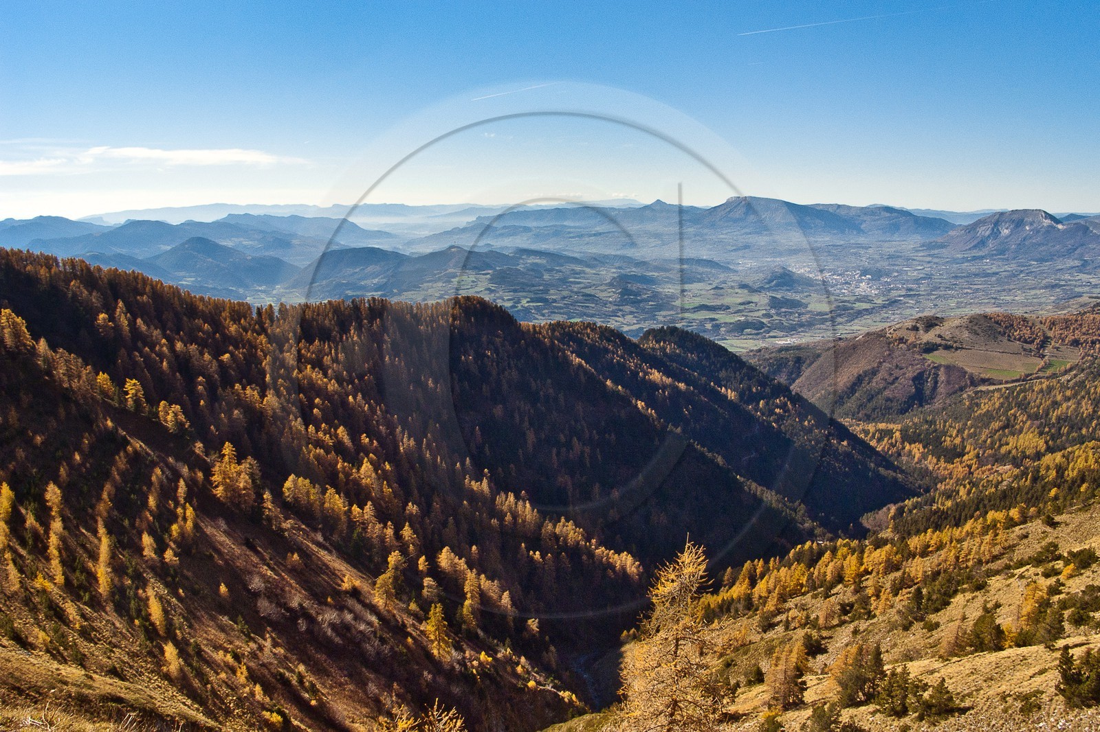 Le Piolit,, Forêt du Sapet