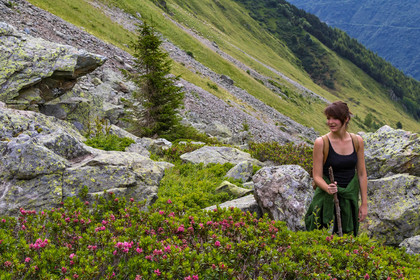 Randonnée pédestre Alpage de la combe des Plans