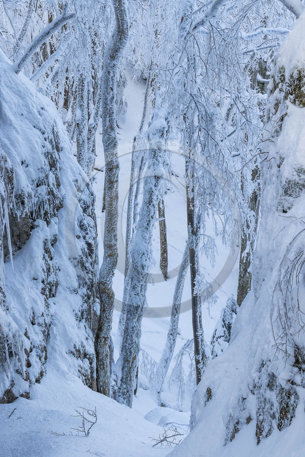 ENS de l'Isère, Les Ecouges