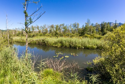 ENS de l'Isère, Tourbières de l'Herretang