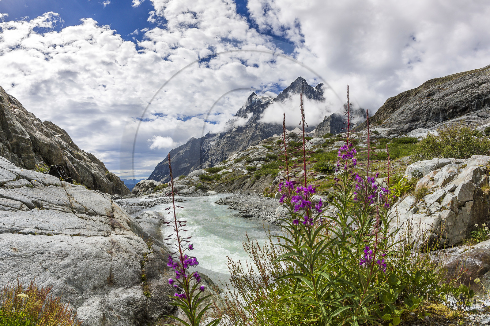 Alexandre Puech, accompagnateur en moyenne montagne