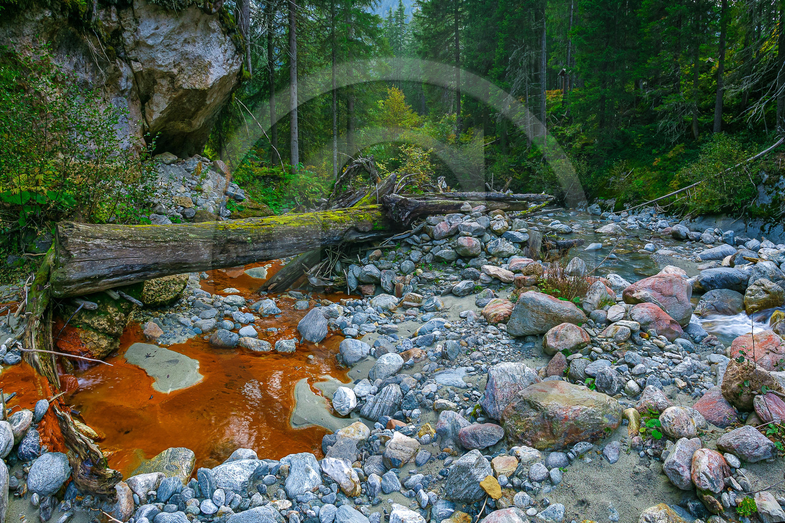 Réserve naturelle des Contamines-Montjoie, source ferrugineuse dans le torrent de Tré-la-Tête