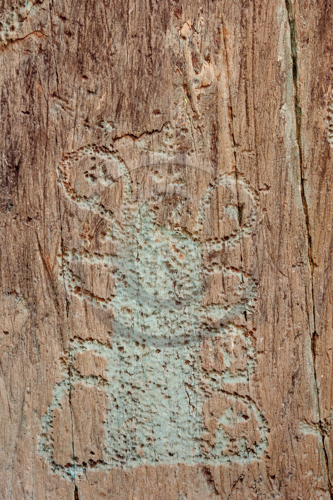 Vallée des Merveilles, gravures rupestres