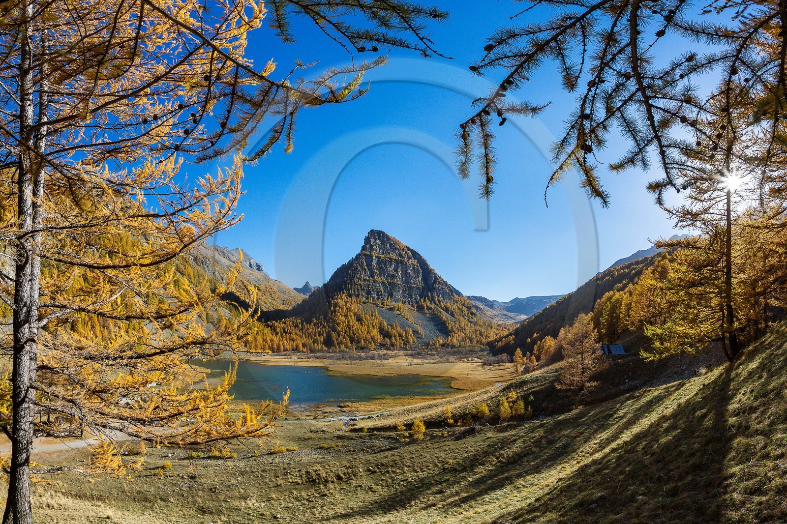 Jausiers, Lac des Sagnes et forêt de mélèzes à l'automne