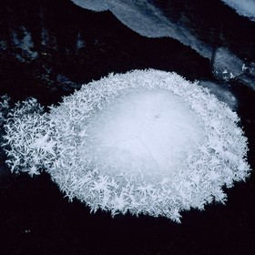 Délices de gel