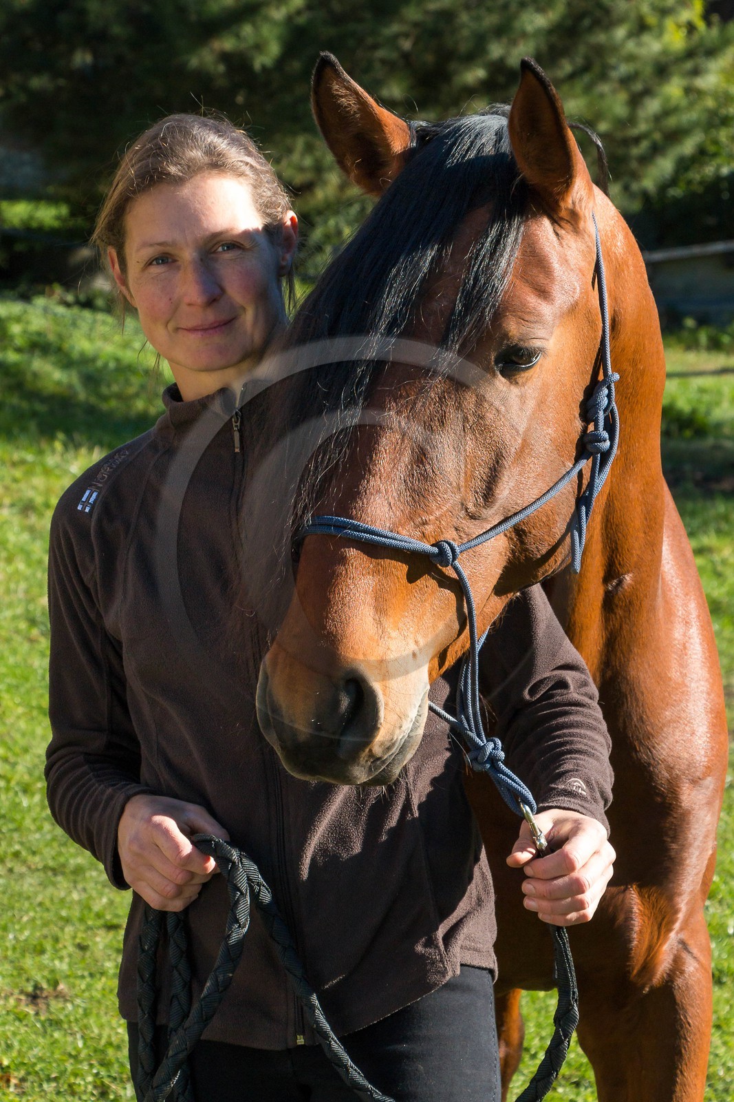 Valbonnais; Chateau Galvin, Haras du Don, Yelena Dovergne