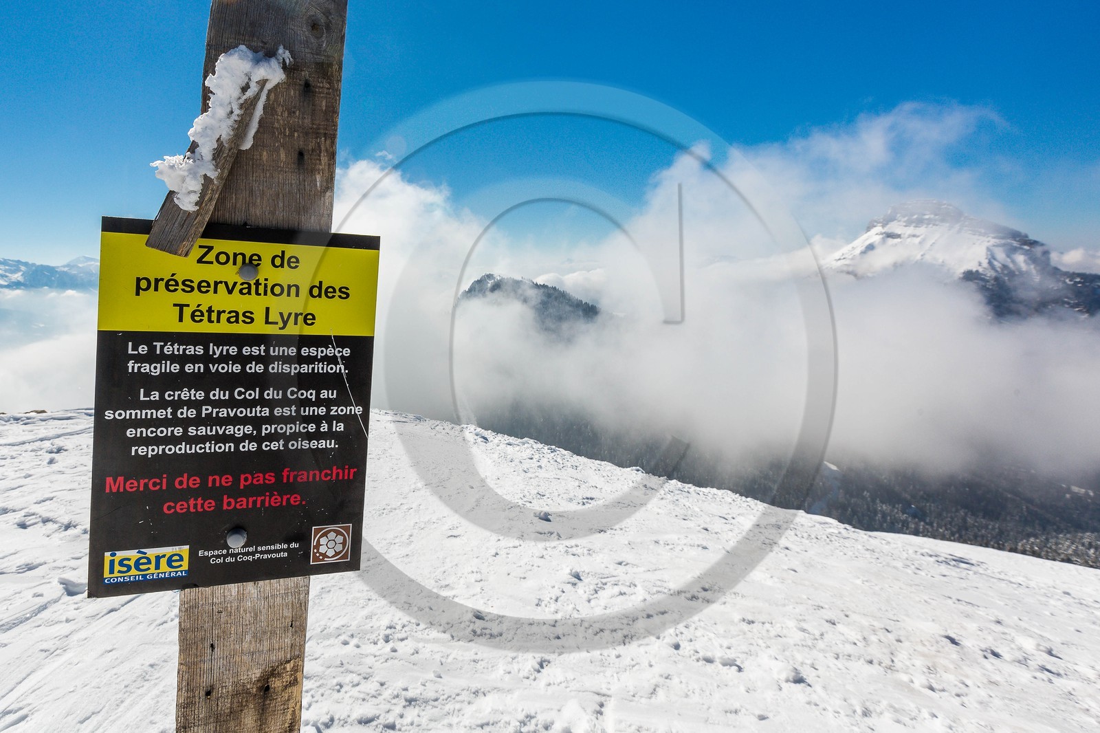 Espace naturel sensible de l'Isère, Col du Coq