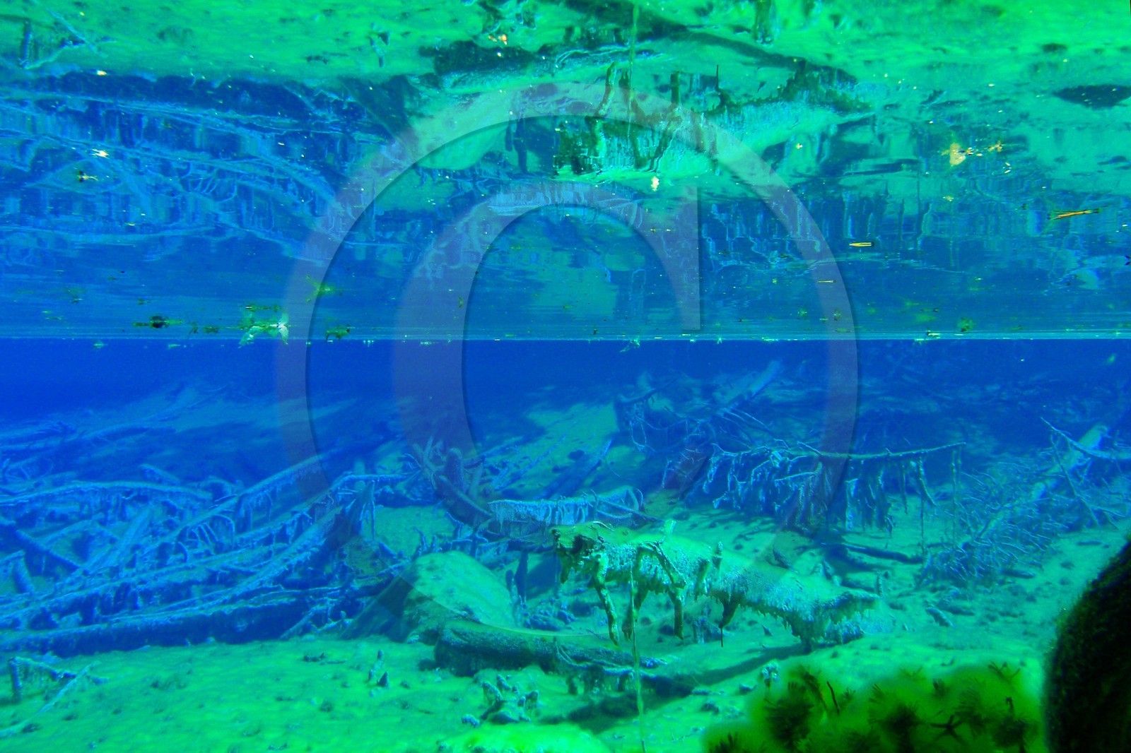 Lac Vert, vallée Etroite