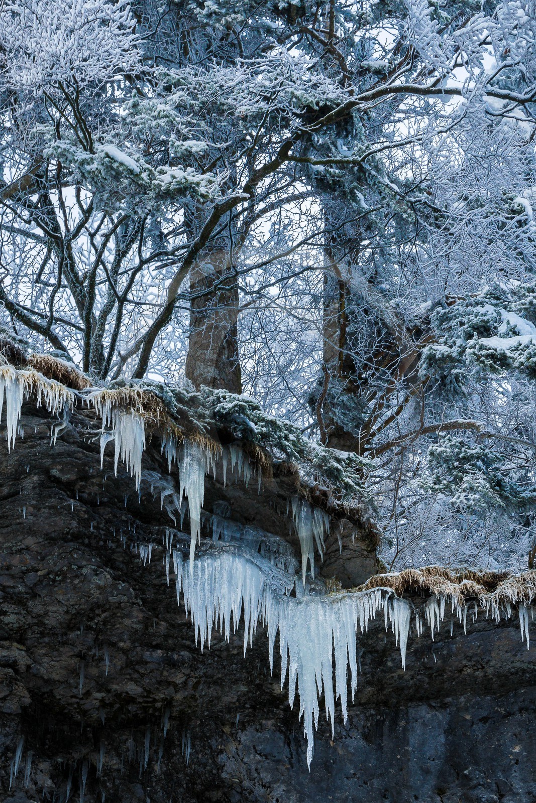 ENS de l'Isère, Les Ecouges