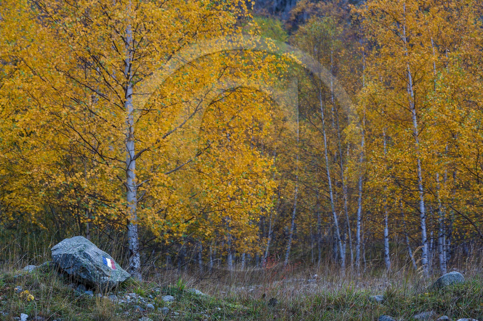 Vallée de la Bonne, village Le Désert