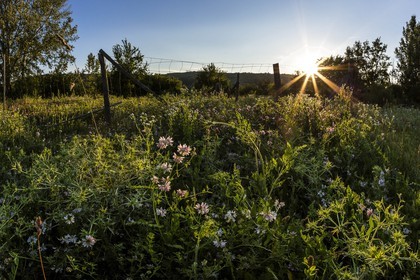 ENS de l'Isère, , le méandre des Oves