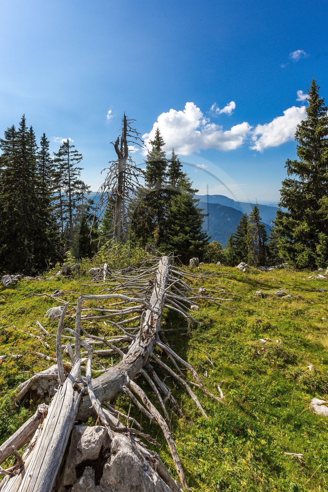 Espace naturel sensible de l'Isère, Col du Coq