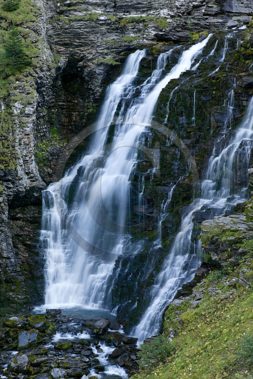 Réserve naturelle de Sixt-Passy, Cascades du Torrent de Salles