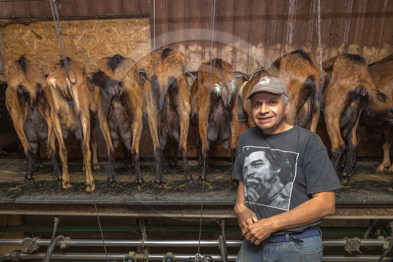 Gaec La Ferme des Ecrins