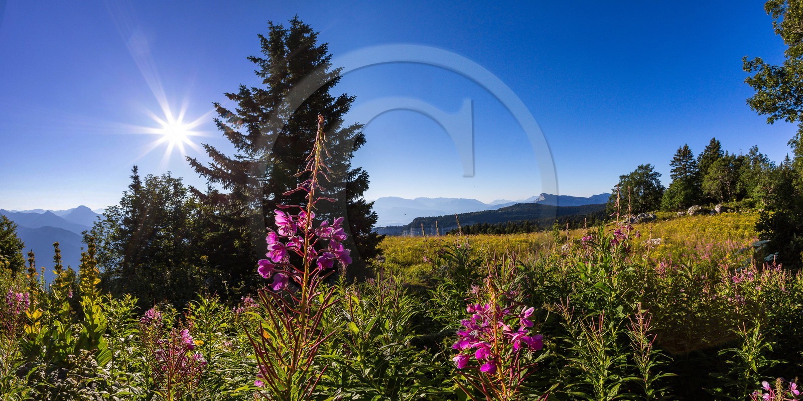 ENS de l'Isère, Plateau de la Molière et du Sornin, du plateau de Sornin