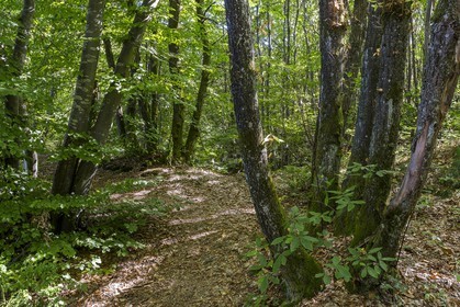 ENS de l'Isère, Etang des Béroudières