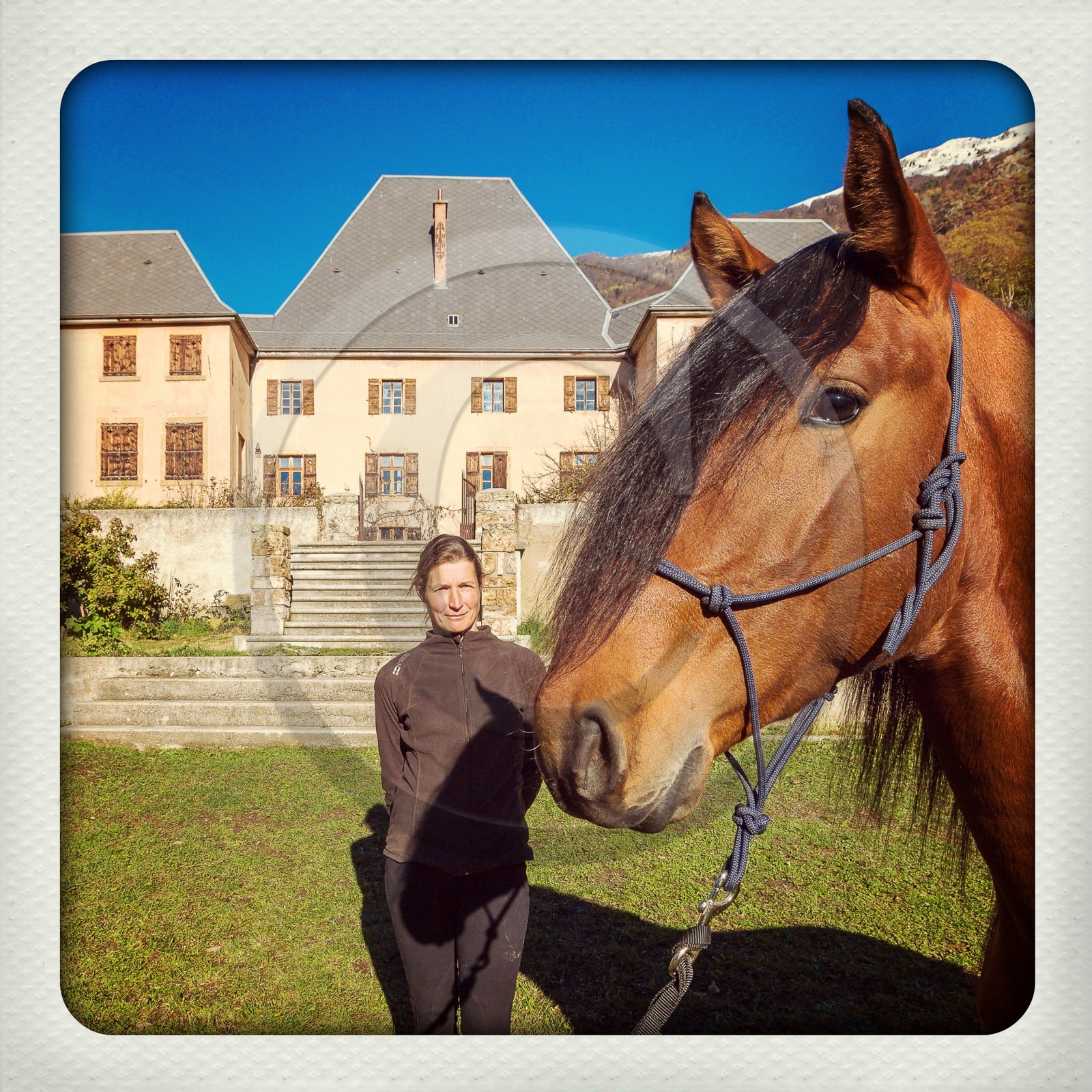 Valbonnais; Chateau Galvin, Haras du Don, Yelena Dovergne