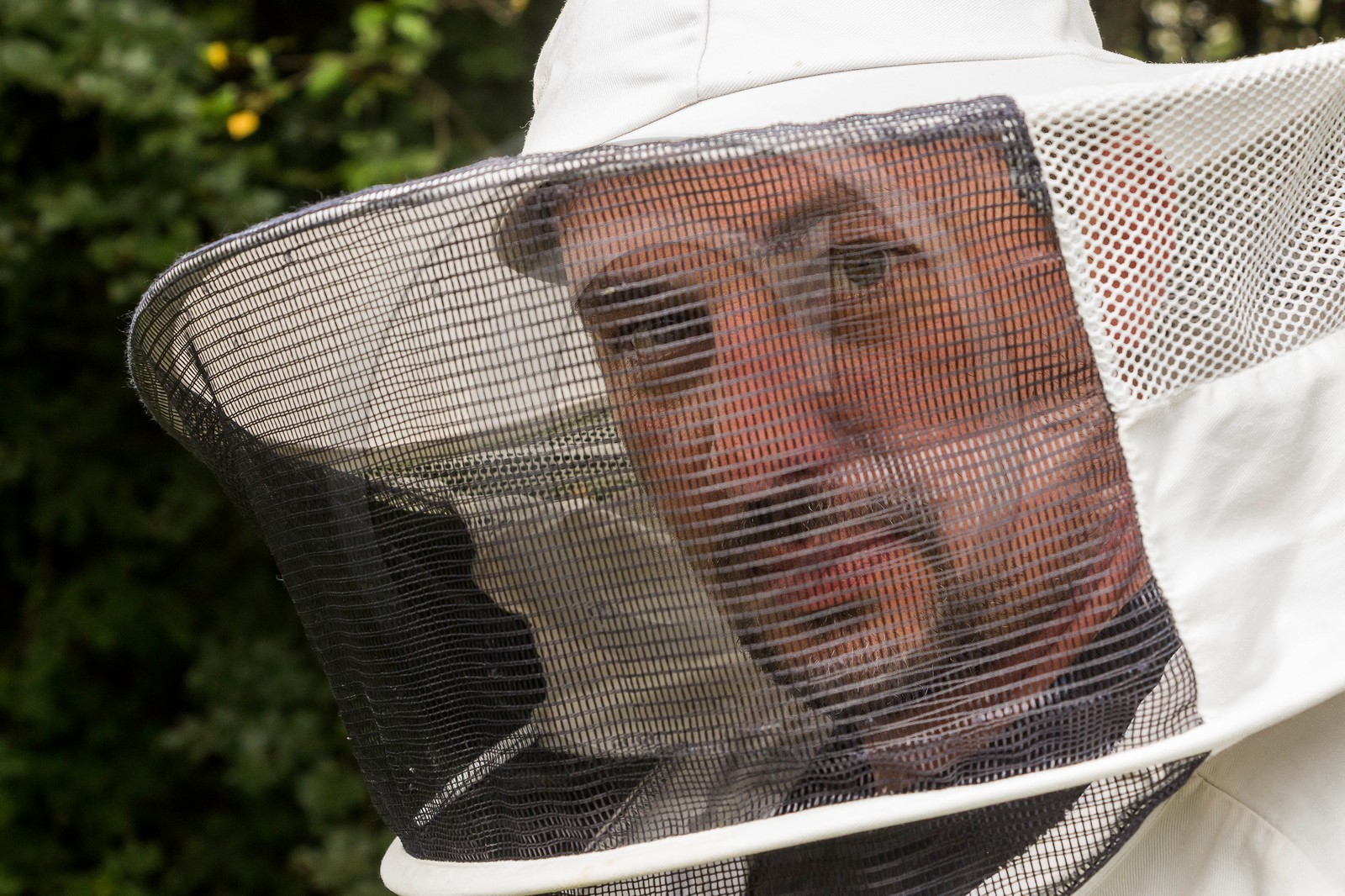 Vallée du Champsaur, miellerie Challet, Geoffrey Challet apiculteur