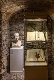 Musée Muséum départemental des Hautes-Alpes, herbier de Dominique Villars