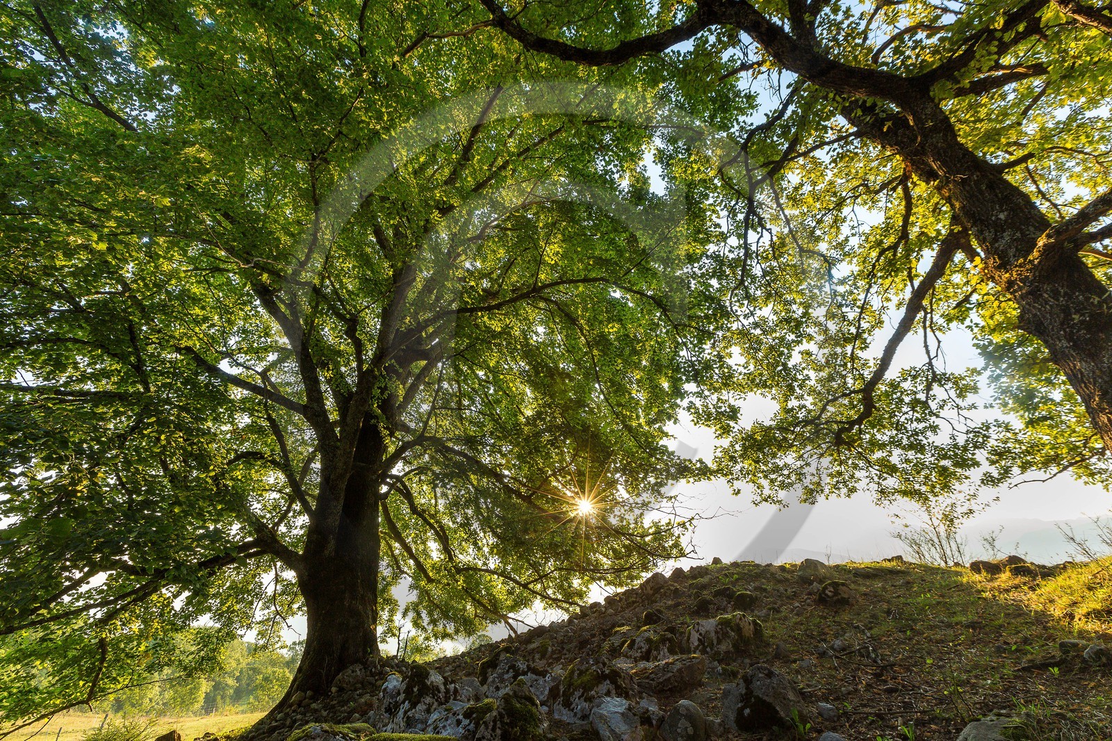 ENS de l'Isère,Tourbières du Peuil