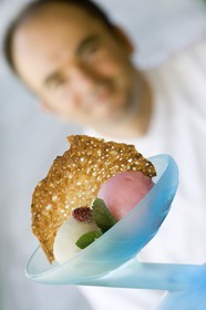 Duo de sorbet fleur de sureau et fleur de mélèze