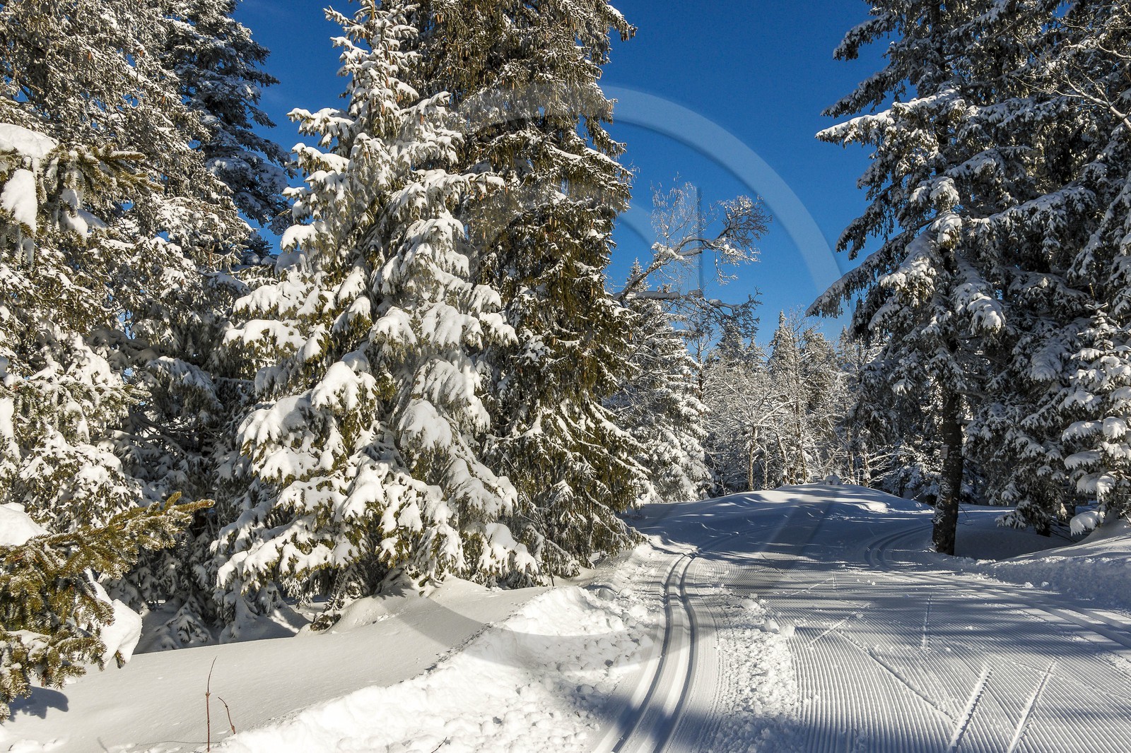 ENS de l'Isère, Plateau de la Molière et du Sornin