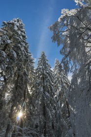 ENS de l'Isère, Les Ecouges