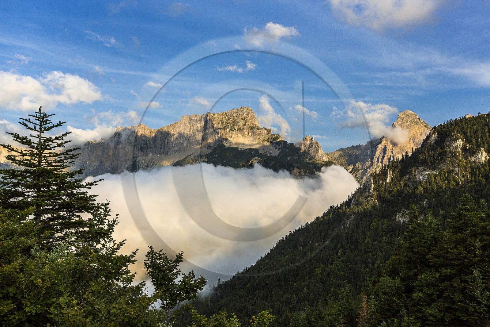 vallon de La Jarjatte