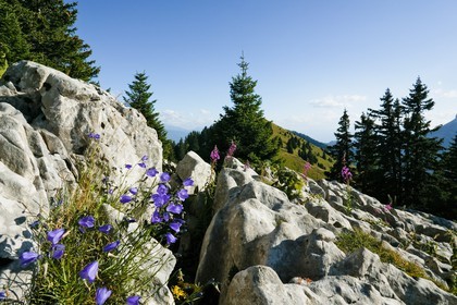 Espace naturel sensible de l'Isère, Col du Coq
