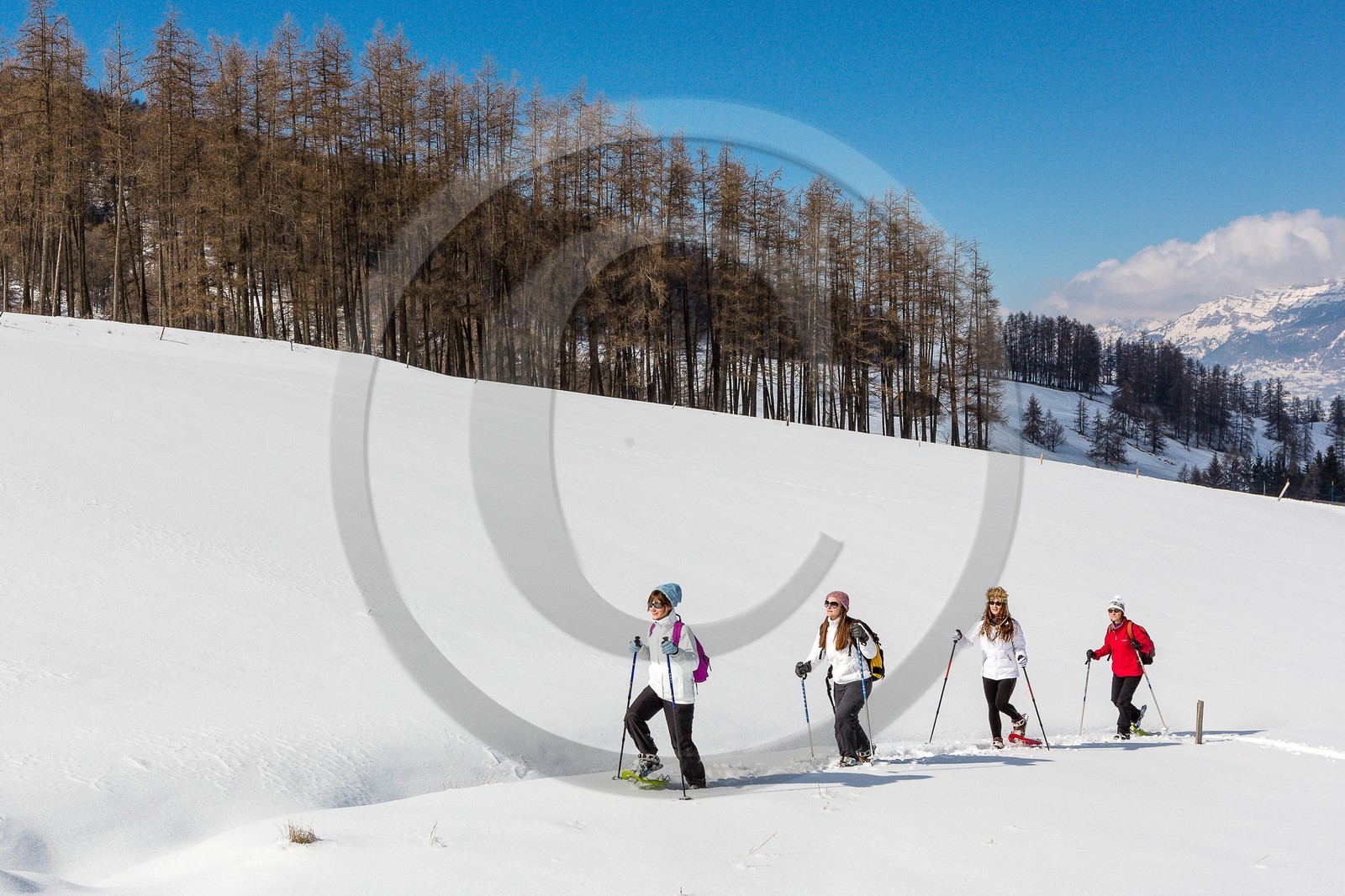 Ancelle, col de Moissière, randonnée à raquettes à neige