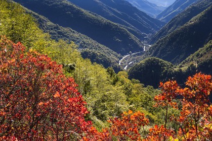 Vallée de la Tinée, Saint-Sauveur-sur-Tinée