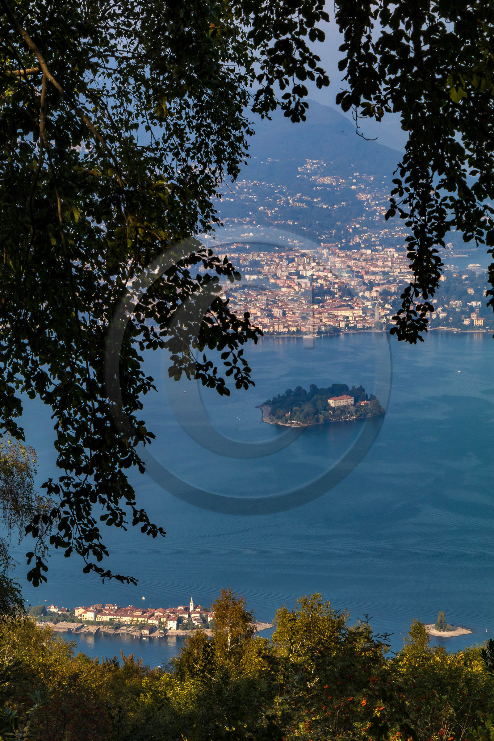 Monte Mottarone, jardin Alpinia