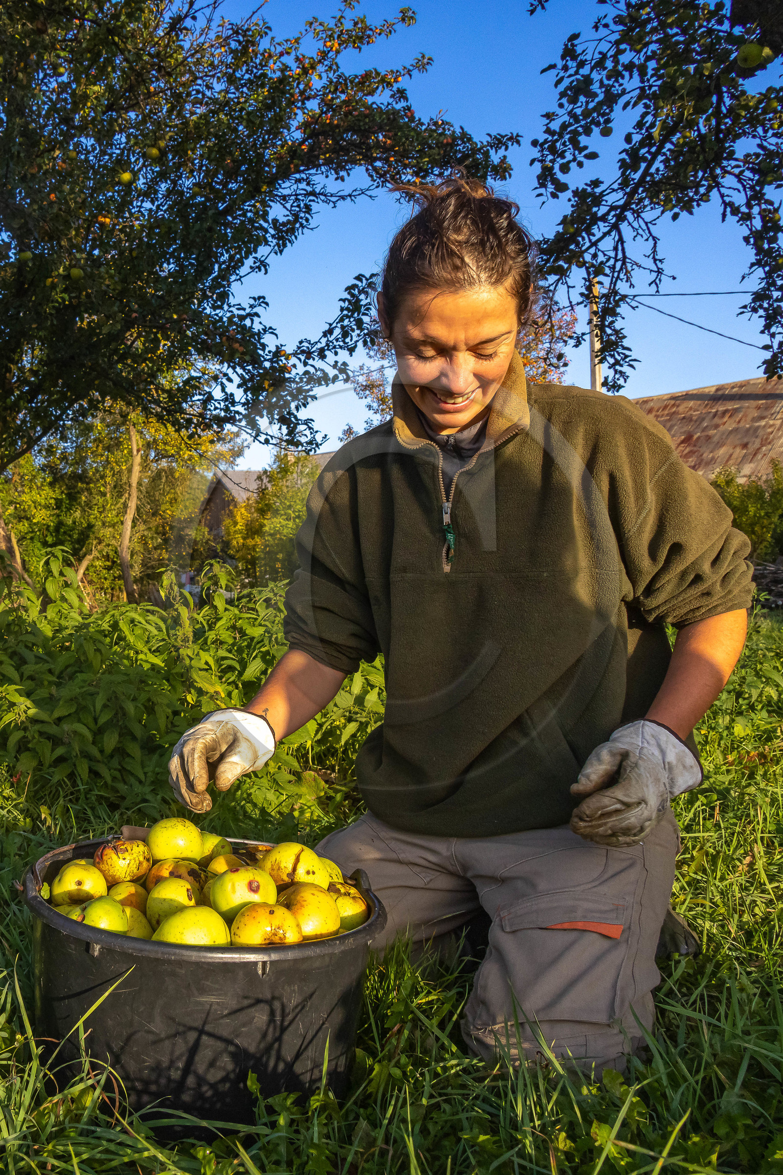 Etablissement Gayral, producteur de jus