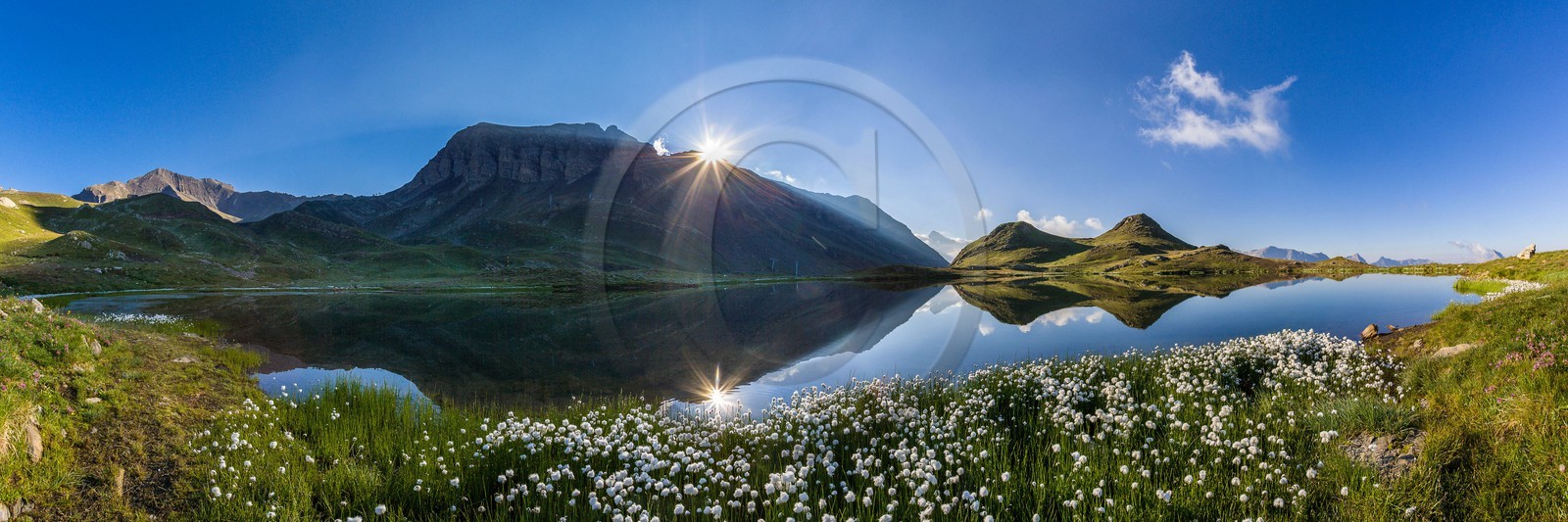 Orcières 1850, linaigrettes au lac Jumeaux et le Roc Diolon